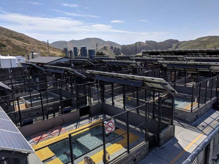 The Marine Mammal Center