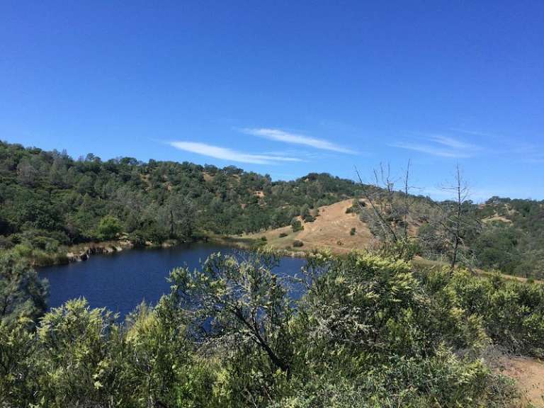 Henry W. Coe State Park
