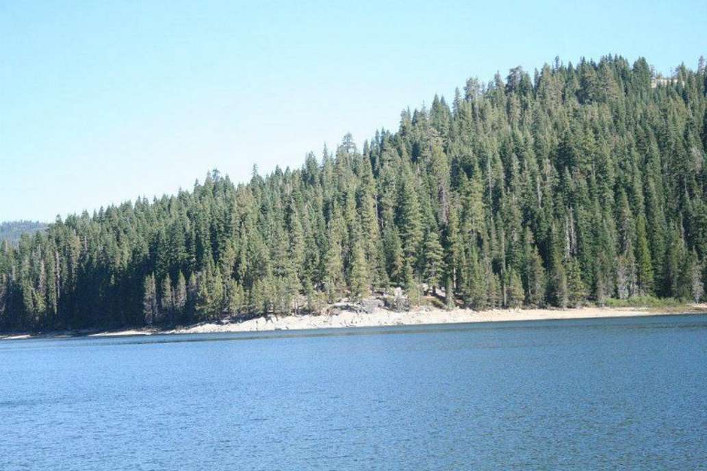 Bucks Lake