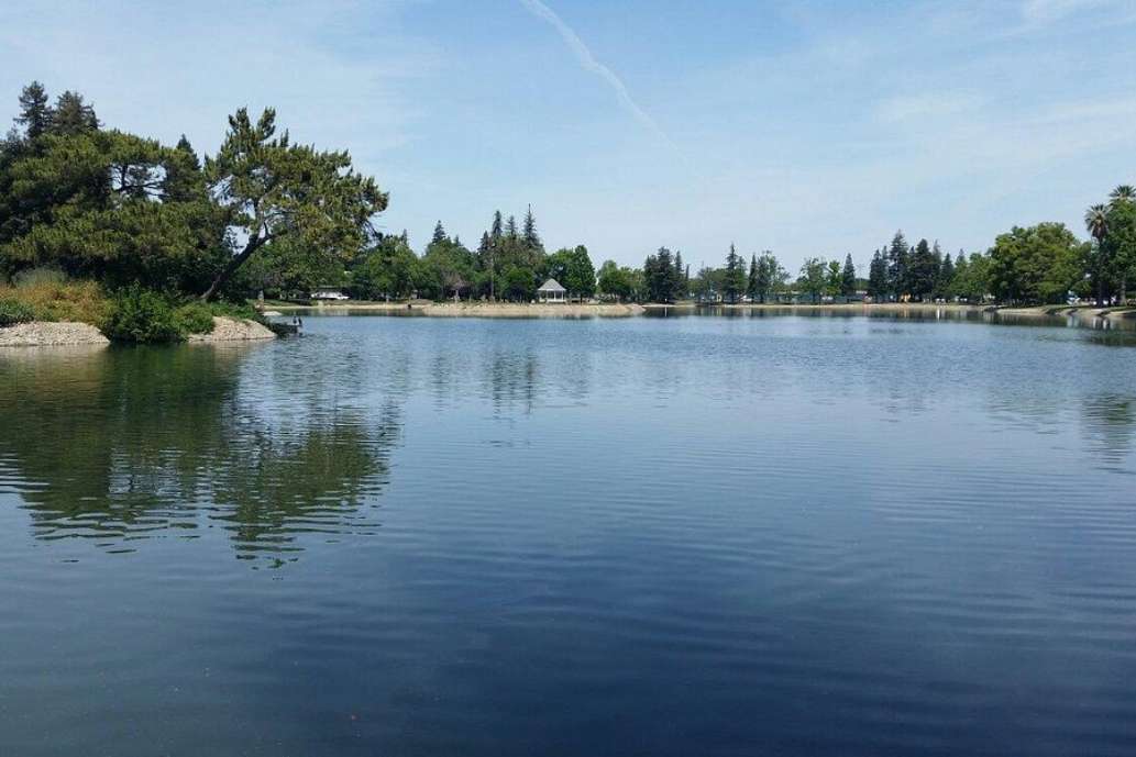 Ellis lake