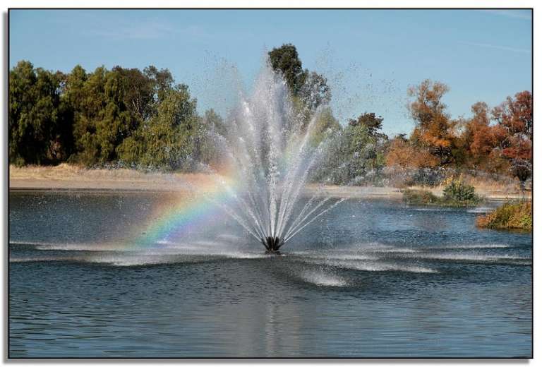 Gardens at Heather Farms