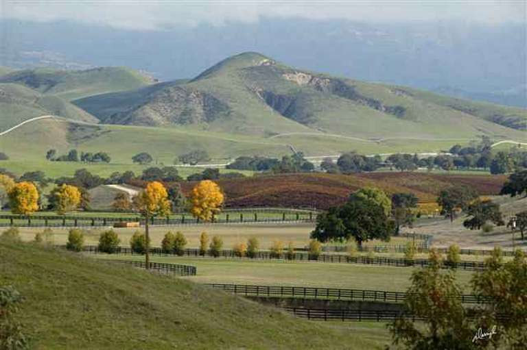 Santa Ynez Valley