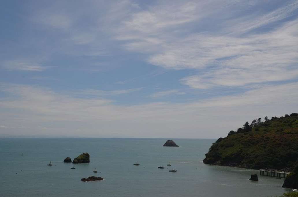 Trinidad Harbor
