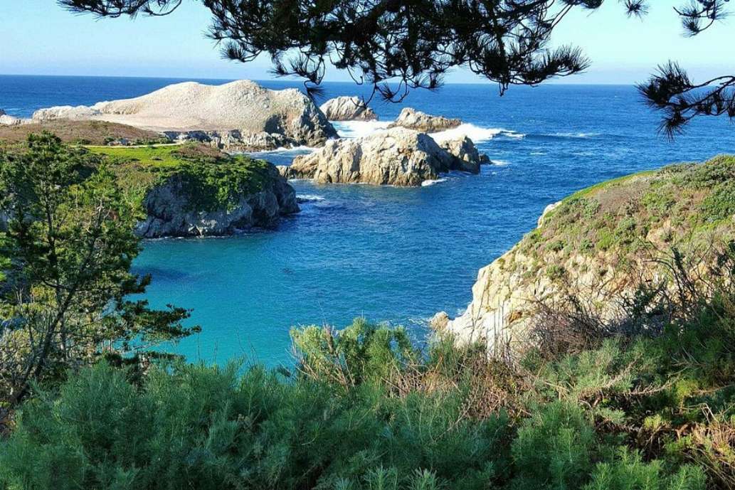 Point Lobos