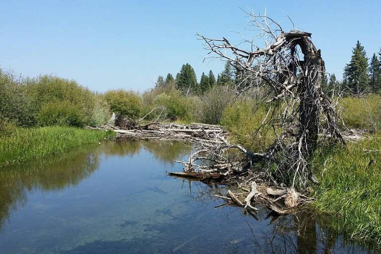 Taylor Creek Visitor Center