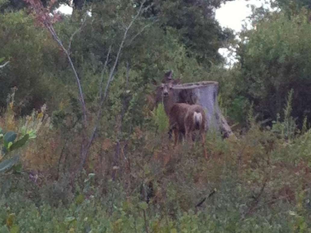 William Heise County Park