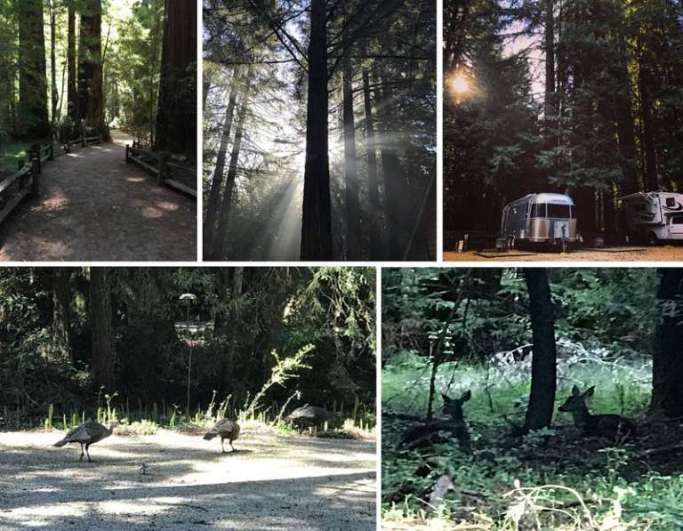 Cotillion Gardens RV Park