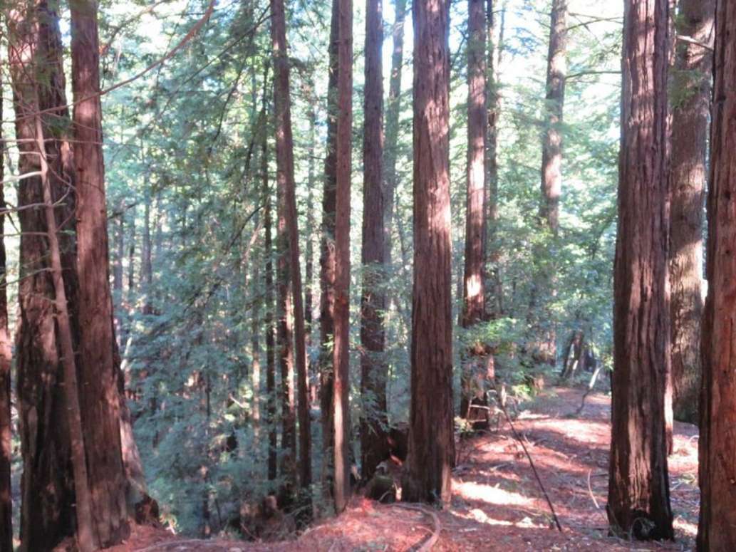 Sanborn Park