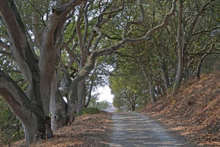 Elkhorn Slough National Estuarine Research Reserve