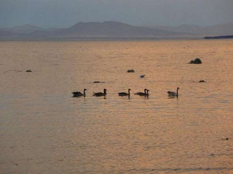 Mammoth Lakes Welcome Center