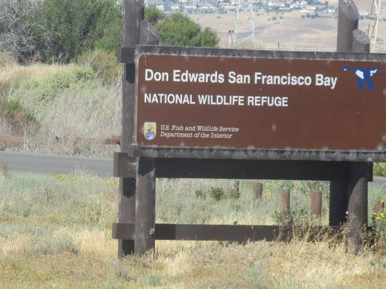 Don Edwards San Francisco National Wildlife Refuge