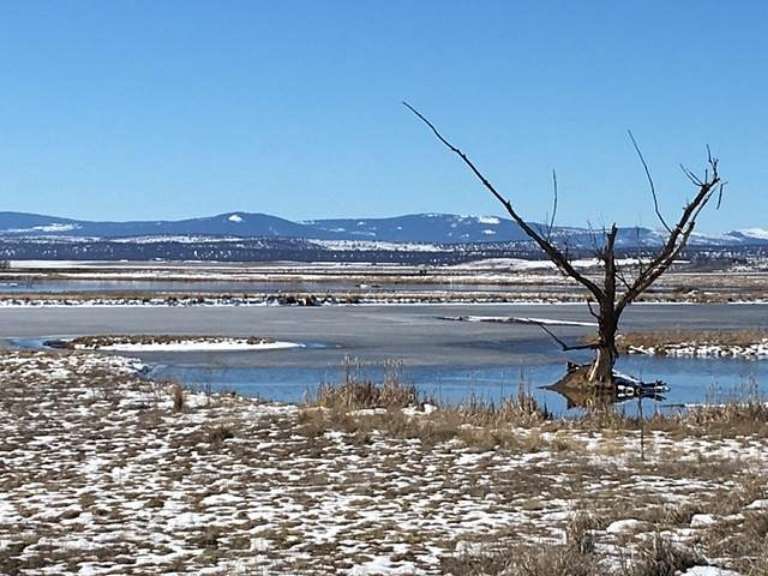 Modoc National Wildlife Refuge