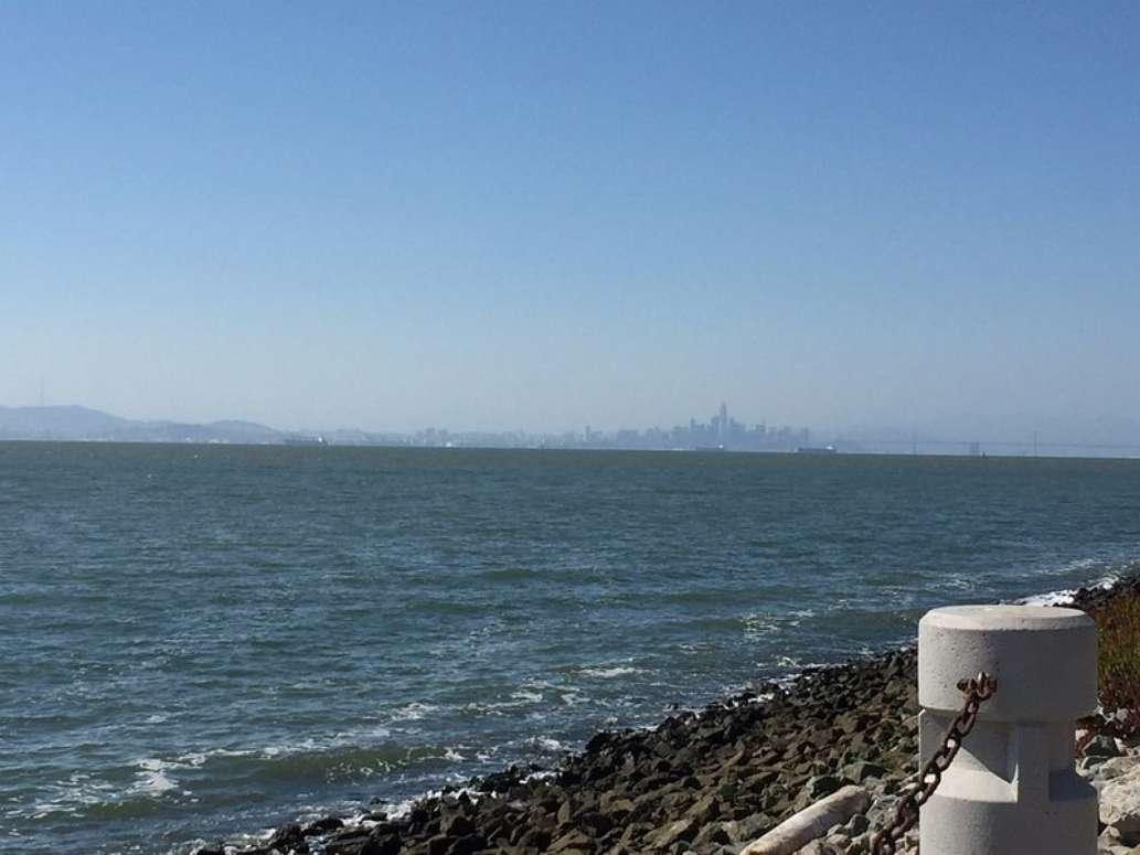 Shoreline Park