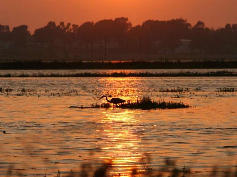 Seal Beach National Wildlife Refuge