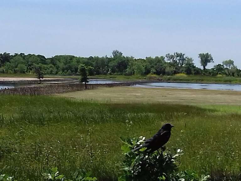 Cosumnes River Preserve