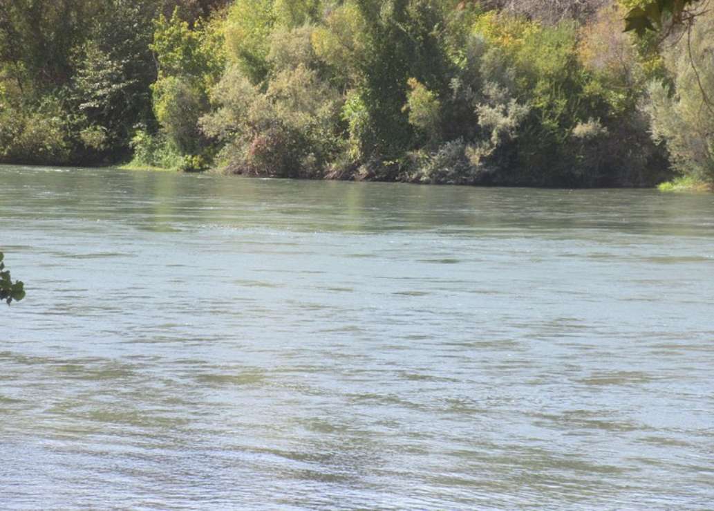 Sacramento River Bend Area