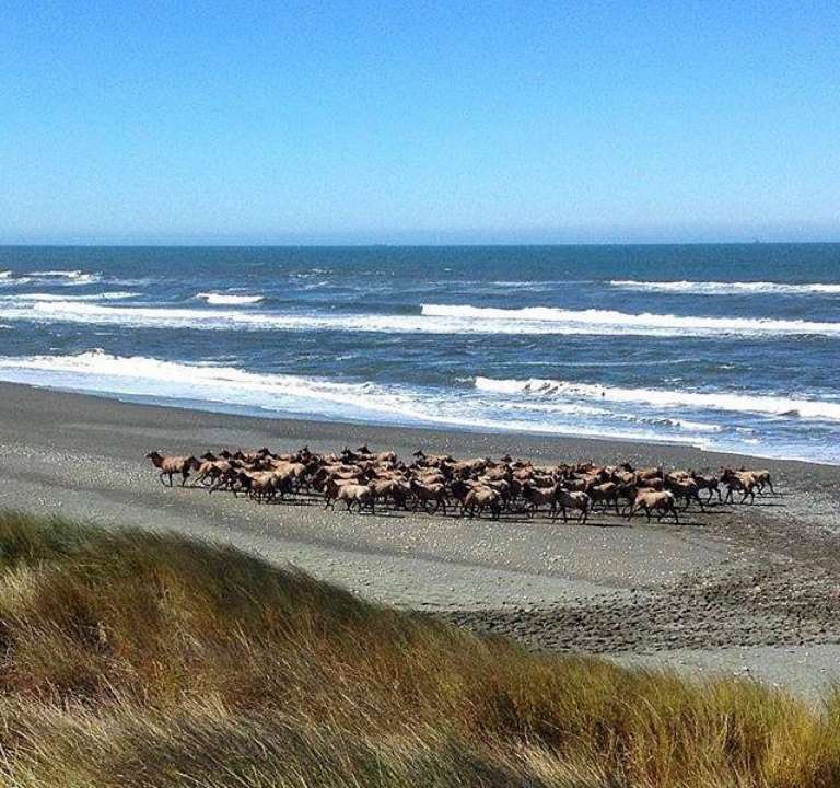 Crescent City - Del Norte County Visitor Center