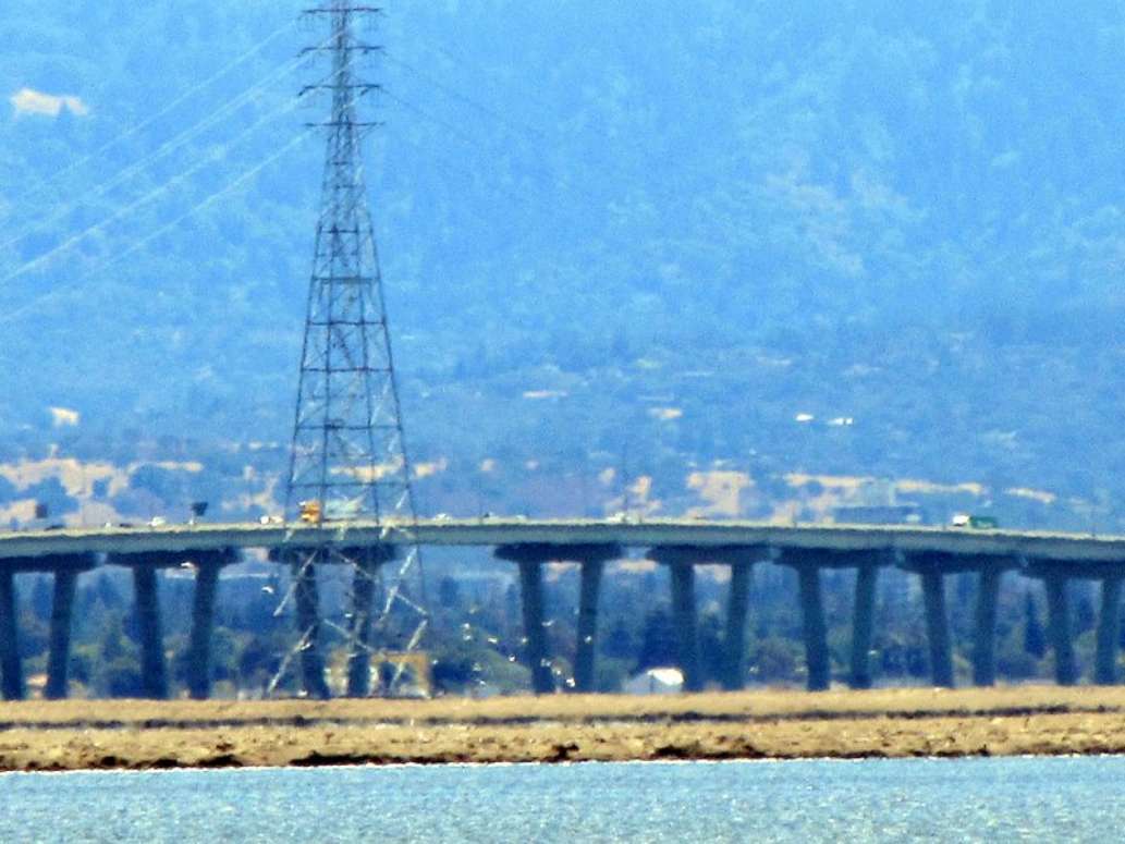 Dumbarton Bridge
