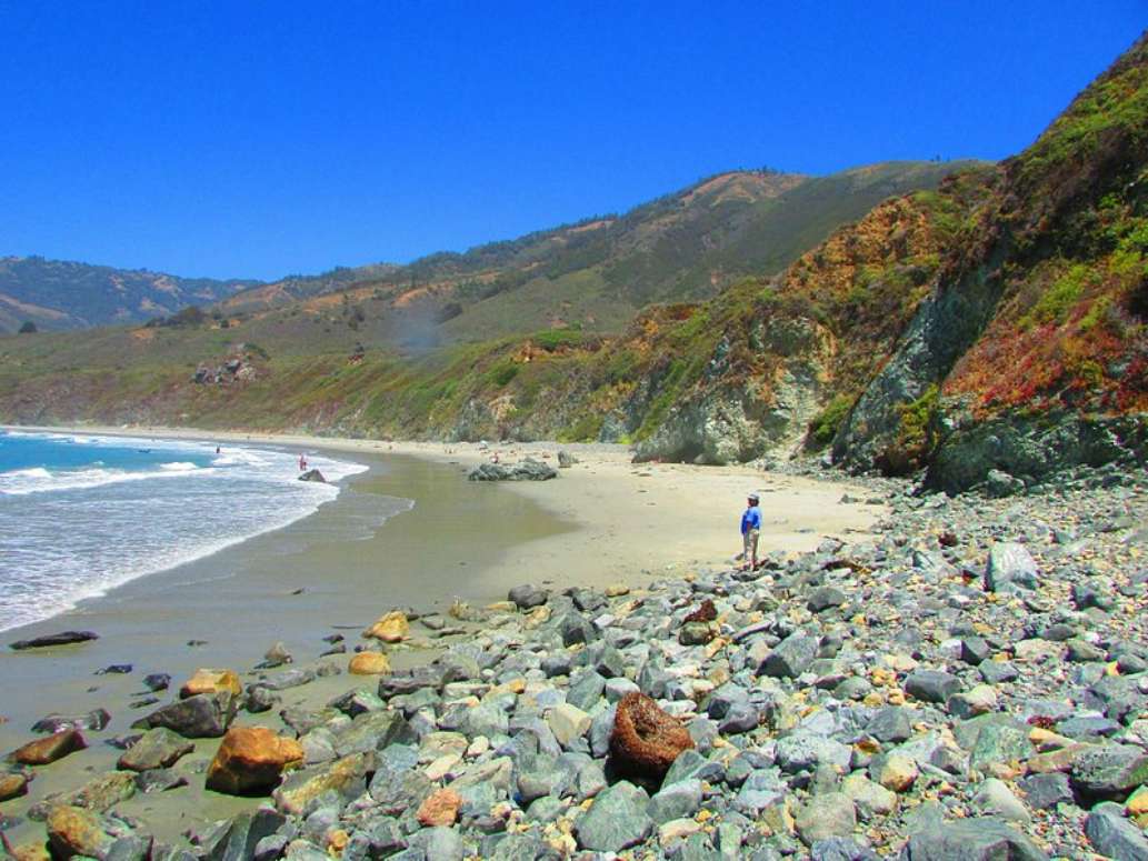 Sand Dollar Beach
