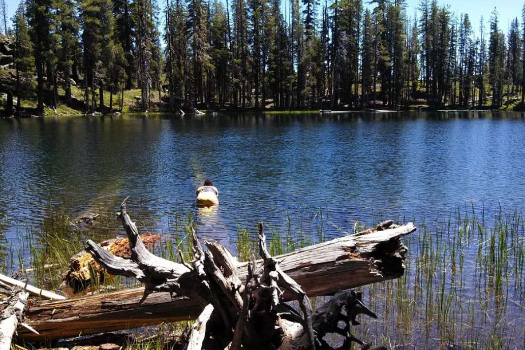 Caribou Wilderness