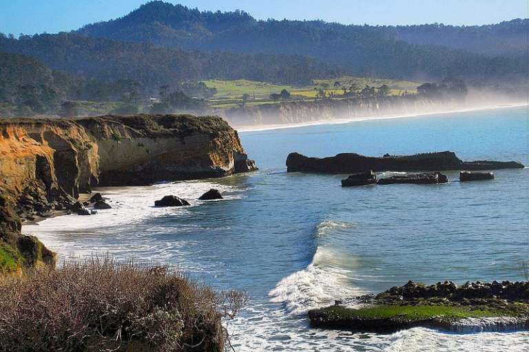 Ano Nuevo State Reserve