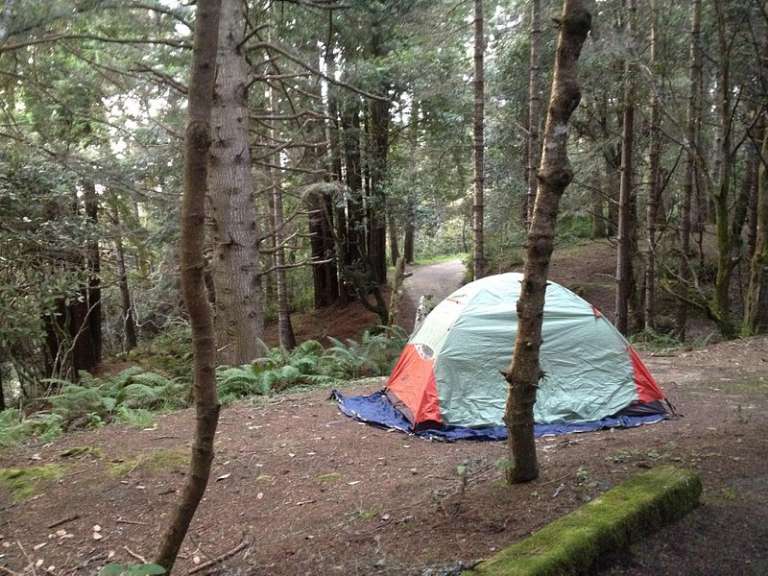 Van Damme State Park