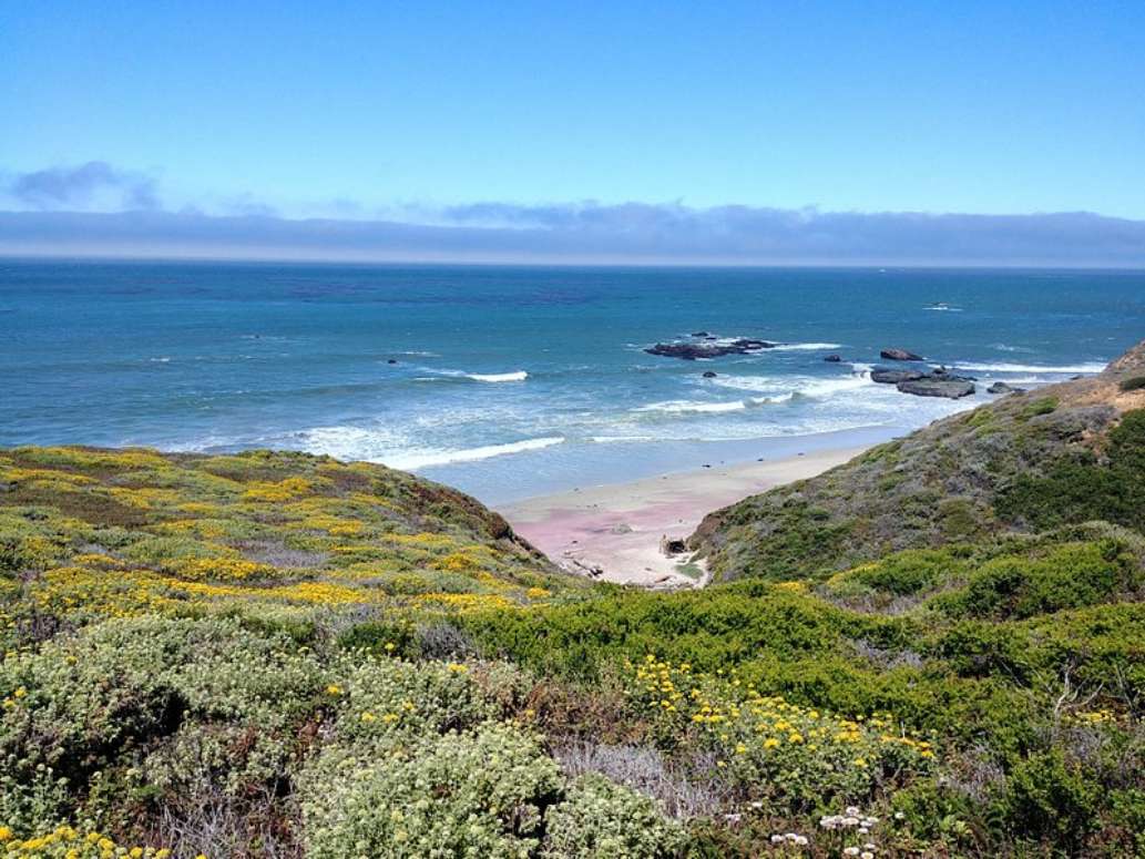 Andrew Molera State Park