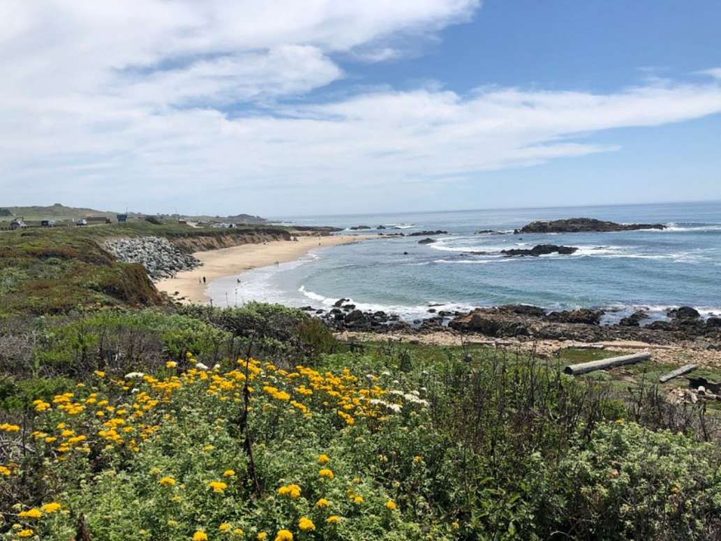 Pescadero State Beach
