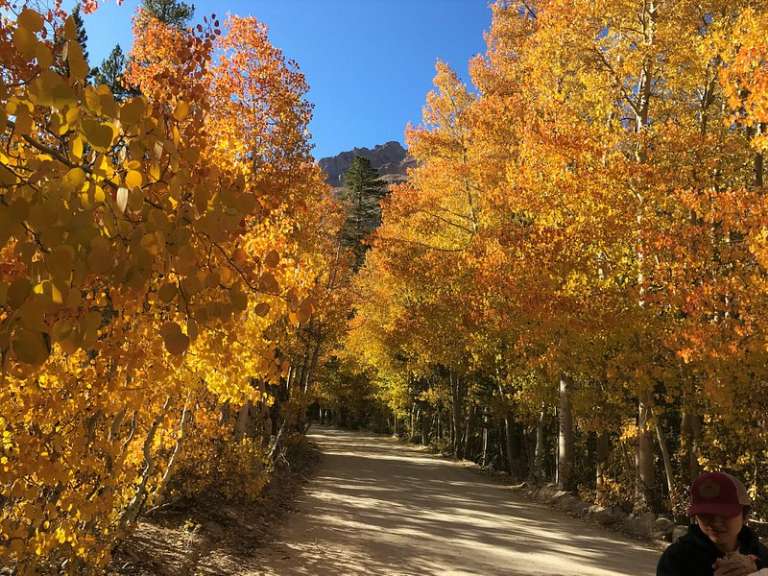 North Lake Campground