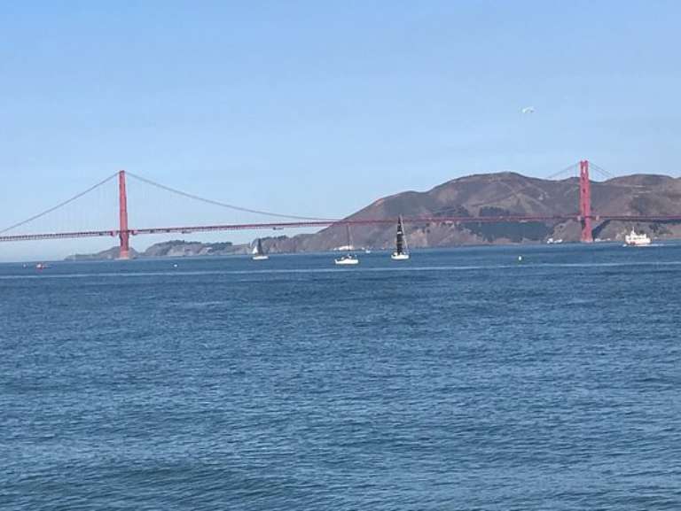 Silver Fox Fishing and Tours