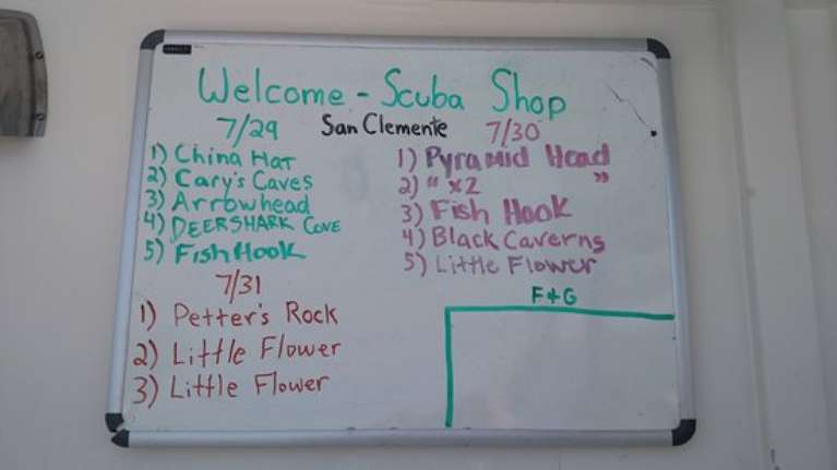 Horizon Charters America's Shark Boat