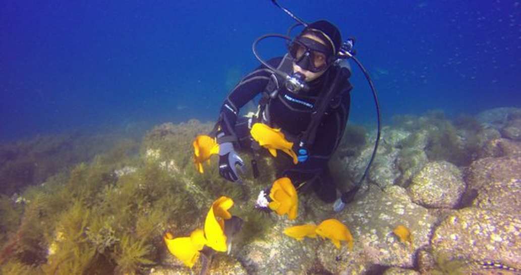 Catalina Scuba Luv