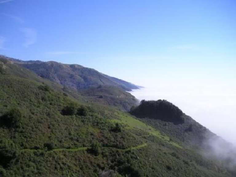 Central Coast Outdoors