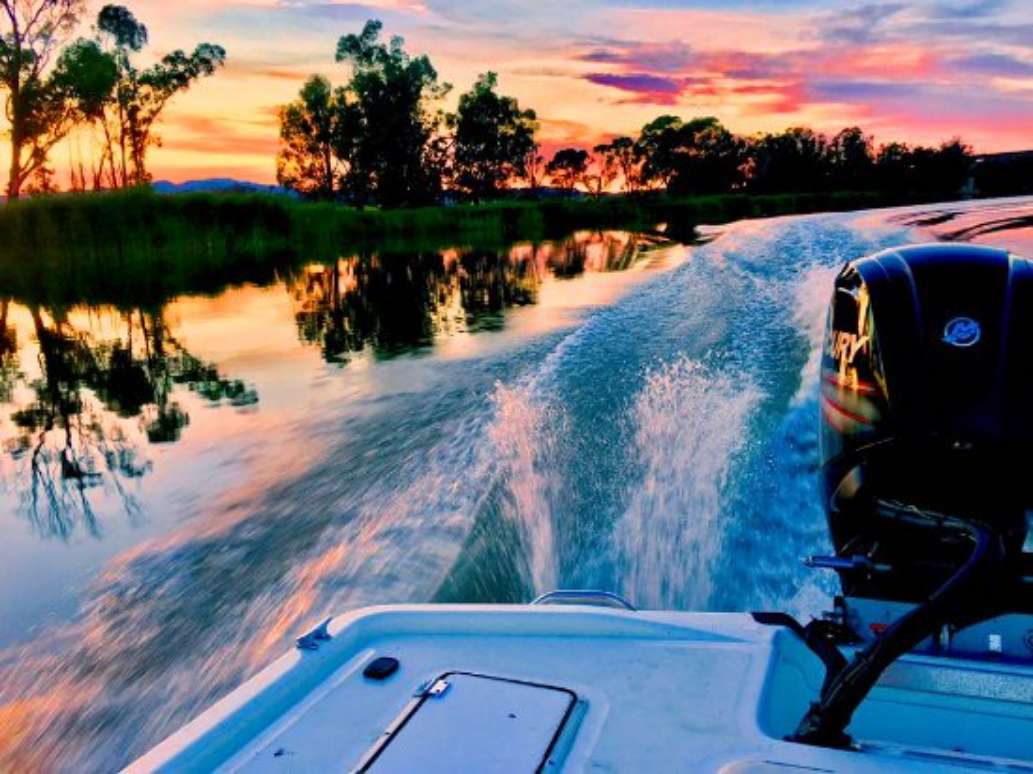 Wombat Charters