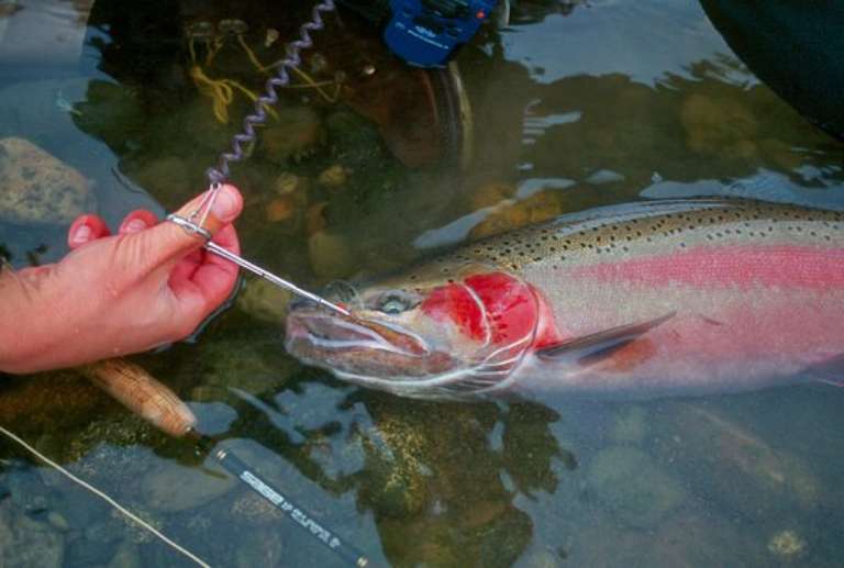 Confluence Outfitters