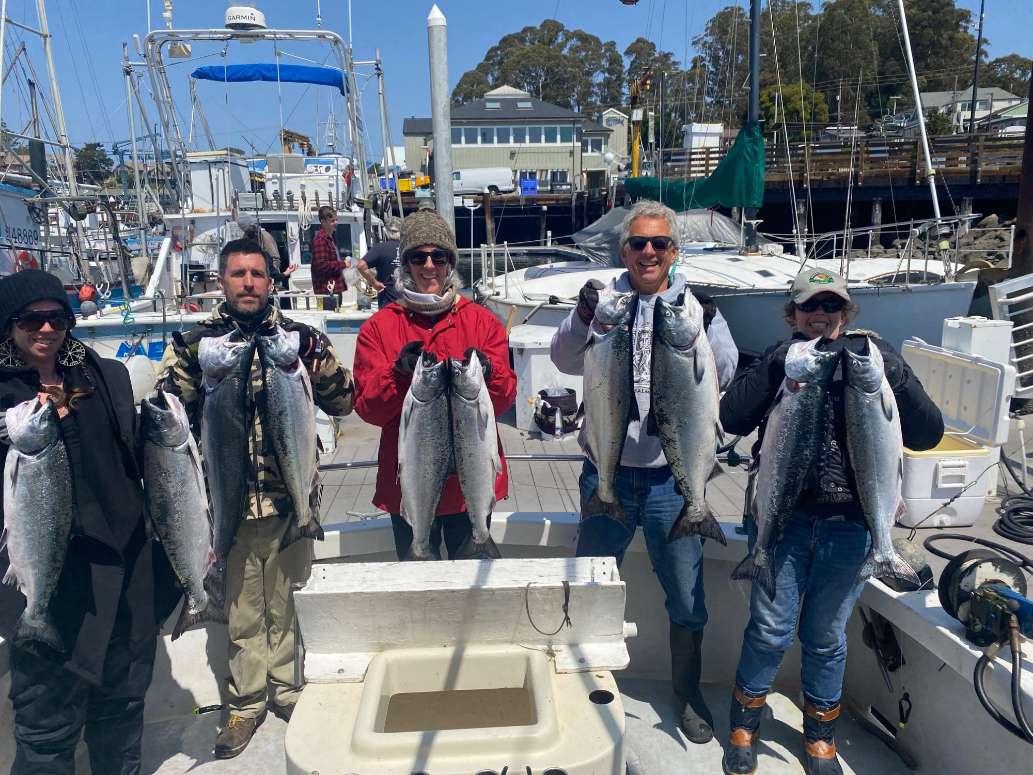 Chartle Charters