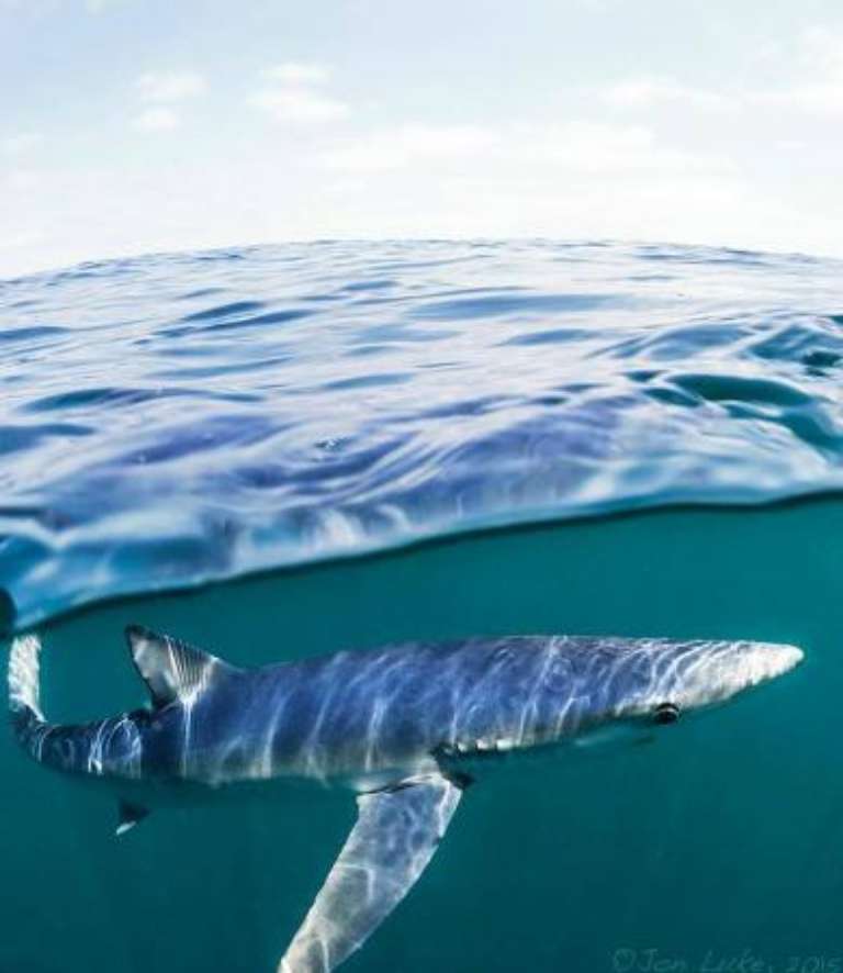 Off the Hook Fly Fishing