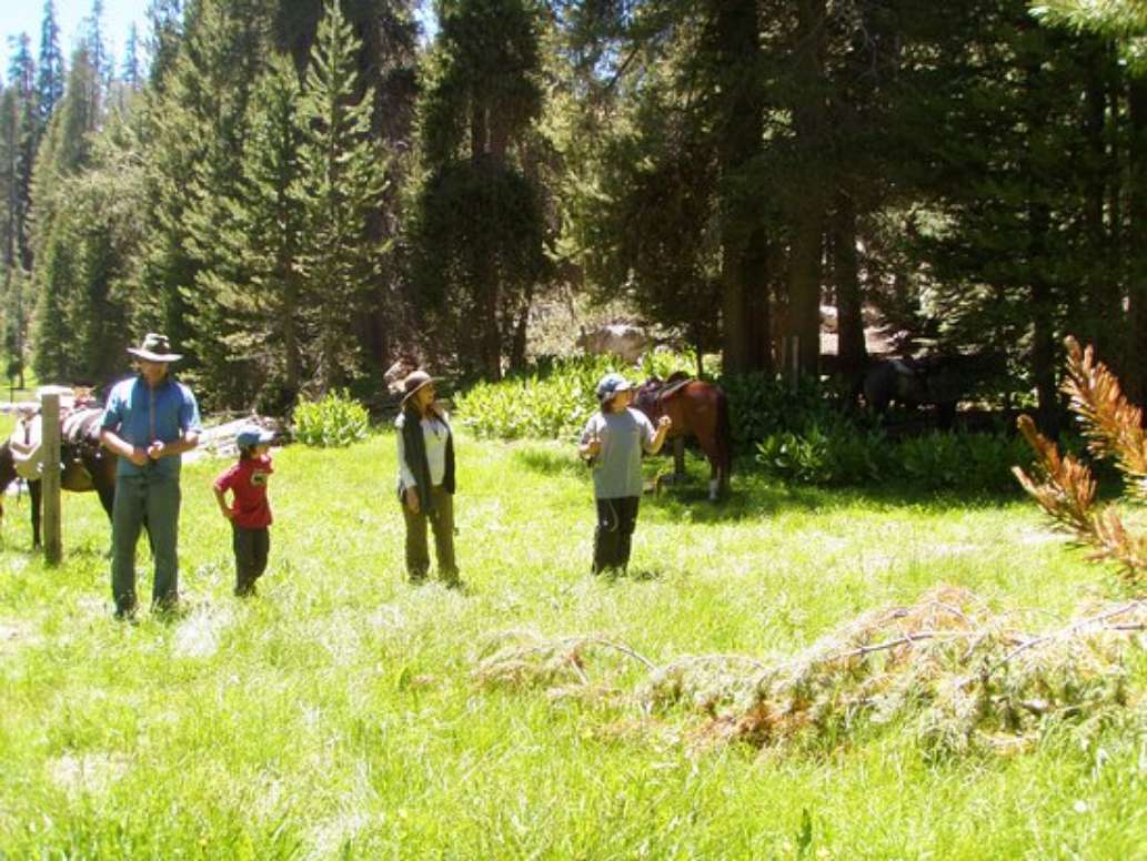 Golden Trout Wilderness Packtrains