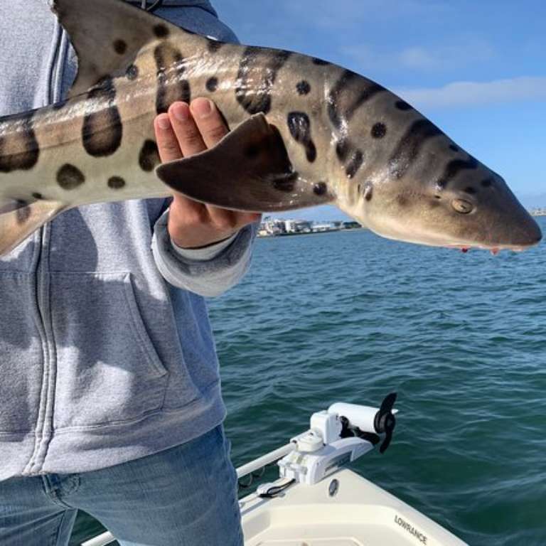 Risen Tide Sportfishing