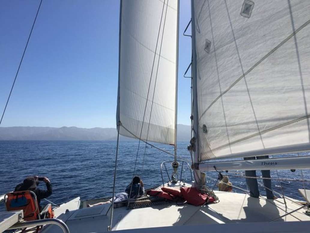 Catalina Adventure Sailing