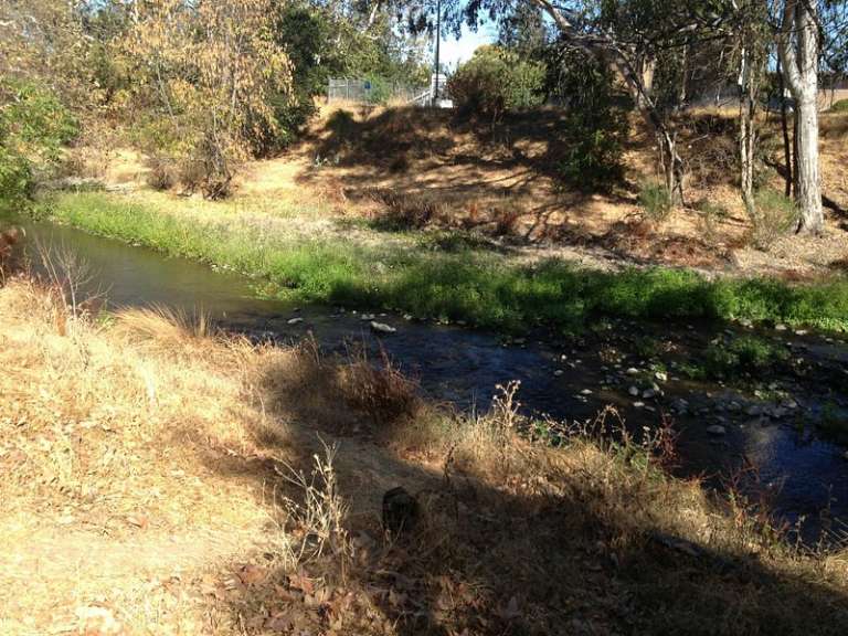 Los Gatos Creek Trail