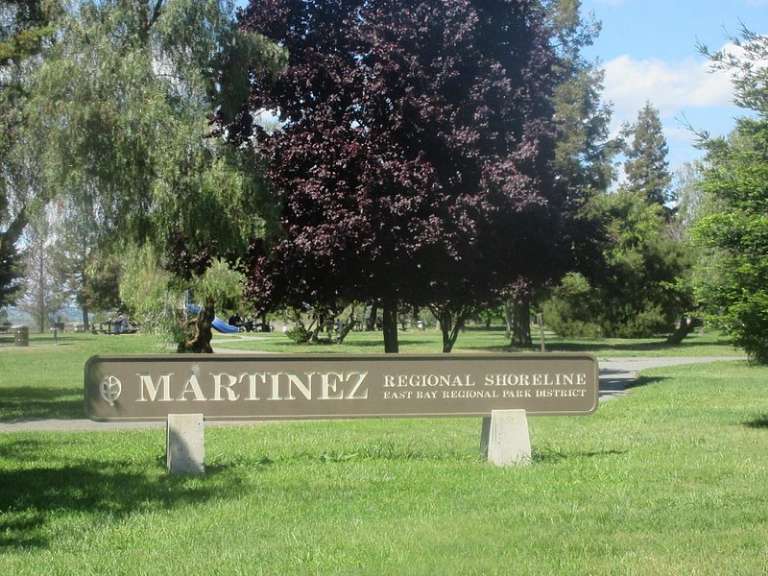 Radke Martinez Regional Shoreline 