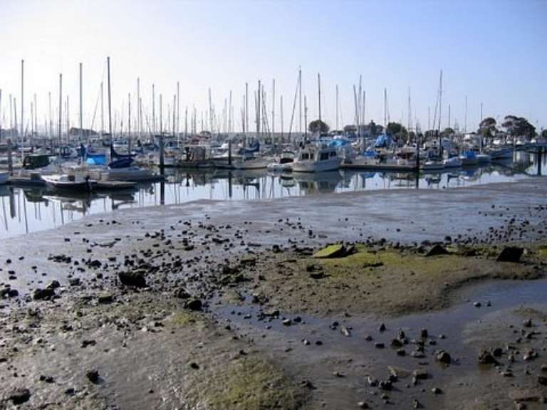 Emeryville Marina