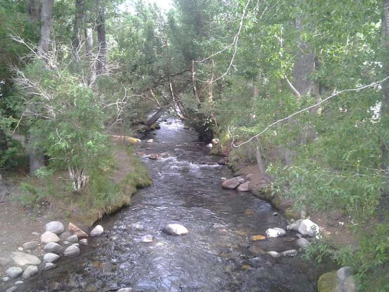 McGee Creek
