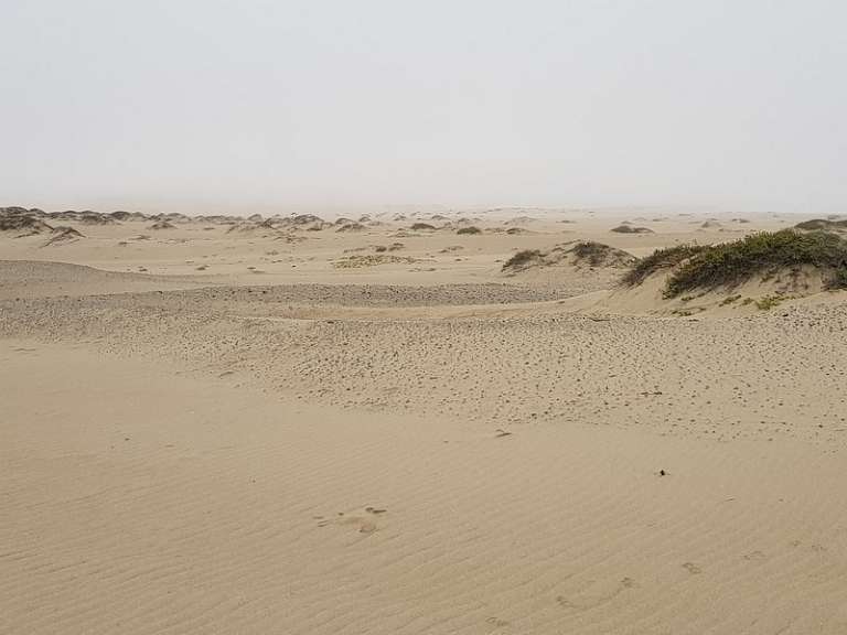 Rancho Guadalupe Dunes Preserve