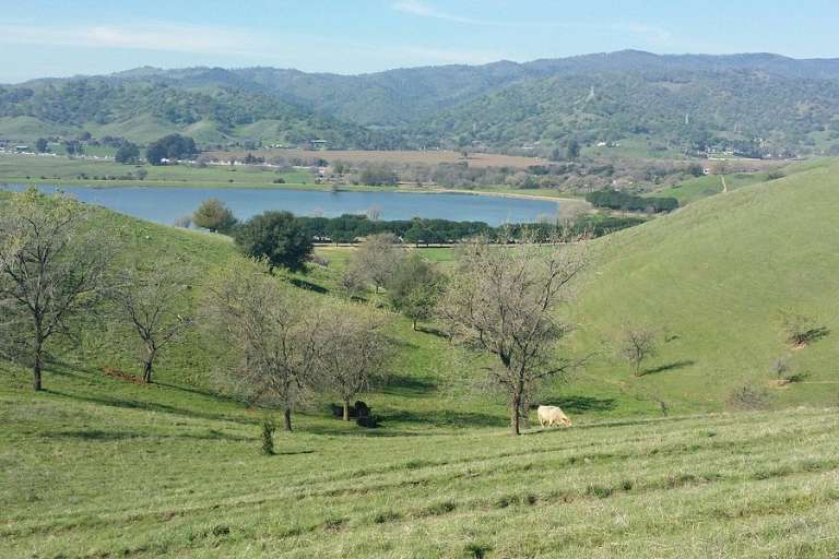 Lagoon Valley/Pena Adobe Regional Park