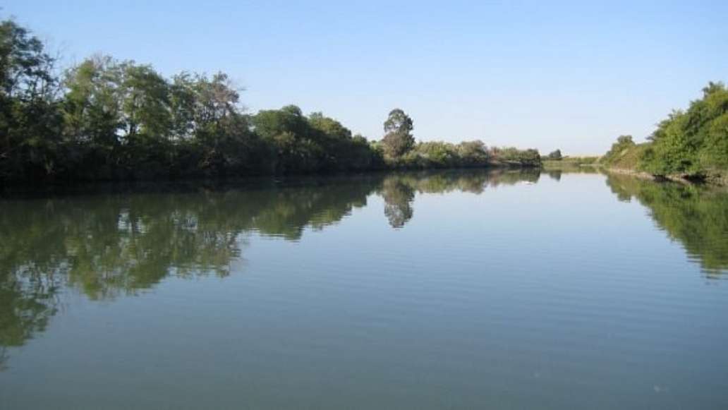 California Delta
