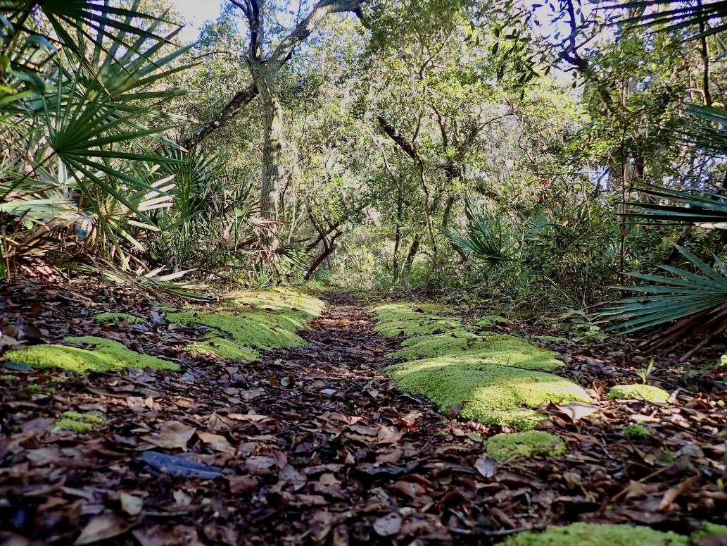 Florida National Scenic Trail