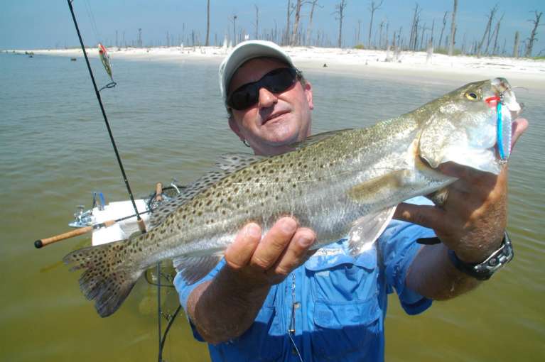 Team Brodie Charters