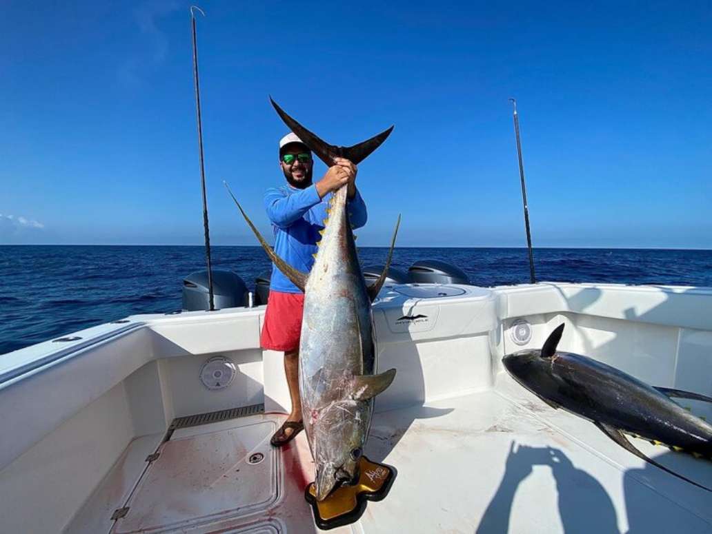 Southern Catch Outfitters - Fishing Yellowfin Tuna Fishing Tuna